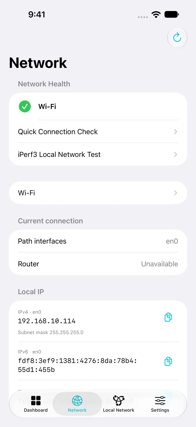 Syscope network overview showing local addresses and network tools.